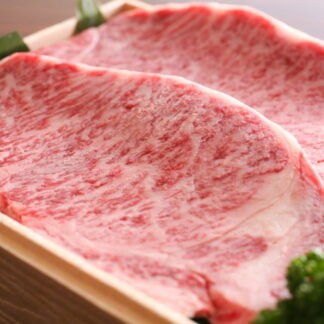 A5等級 飛騨牛サーロインステーキ2枚(400g)